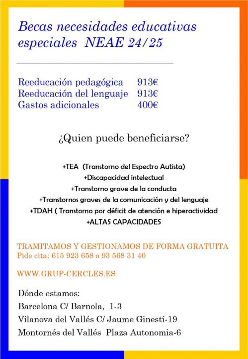 Becas necesidades especiales