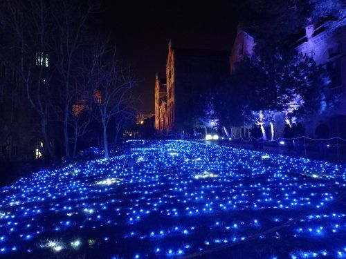 IMG20220101203420 IMG20220101203420